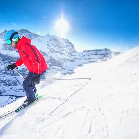 Allod Park Haus C 401 By Interhome Davos